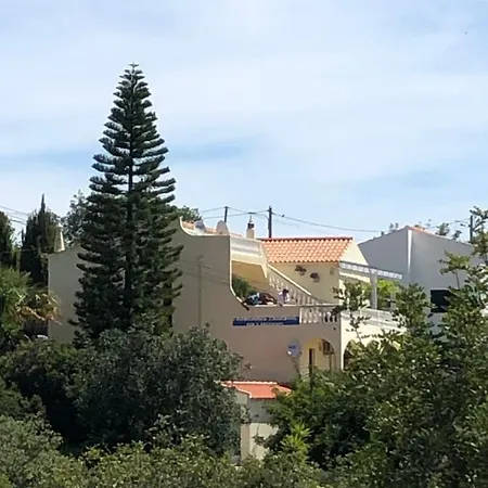 Panoramic Paradise